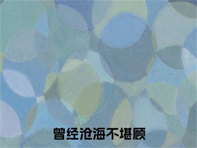 陌念微秦枫屿彩蛋小说结尾+附加（曾经沧海不堪顾）清爽版阅读