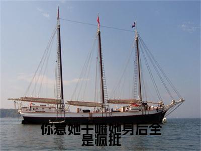 云苓迟盛附加完整在线阅读（你惹她干嘛她身后全是疯批）最近更新列表