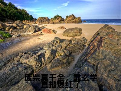 废柴真千金，靠玄学直播爆红了（顾南笙江珩昱）全文免费阅读无弹窗_（顾南笙江珩昱小说全文免费阅读）废柴真千金，靠玄学直播爆红了+后续评价五颗星