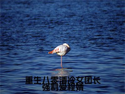 重生八零清冷女团长强制爱程婧小说无删减阅读无干扰（宋旭生程婧）番外+续集