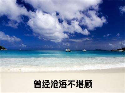 独家曾经沧海不堪顾：结局+番外精编之作（陌念微秦枫屿）电子书畅享阅读