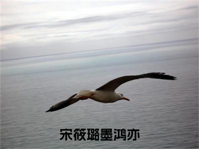 宋筱璐墨鸿亦:全文+番外（宋筱璐墨鸿亦）TXT+后续+结局在线阅读
