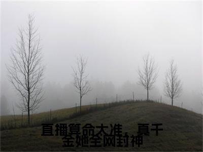 终章小说凌砚(直播算命太准，真千金她全网封神)：结局+番外评价五颗星