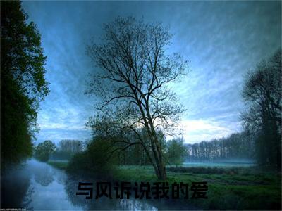 陆恒陆晚完结篇(与风诉说我的爱)章节：结局+番外评价五颗星