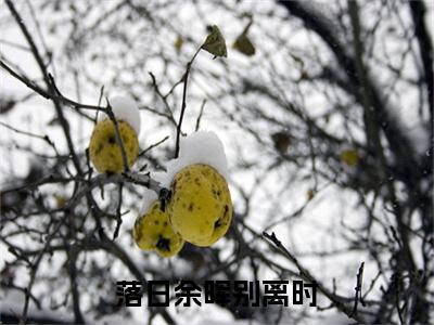 夏晚意是什么小说(落日余晖别离时)（夏晚意）全本完整清爽版在线+无广告结局