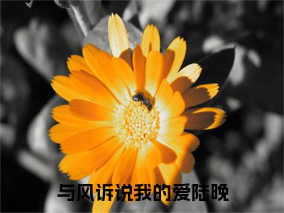 全网首发与风诉说我的爱陆晚彩蛋(陆恒陆晚)（与风诉说我的爱陆晚）全本完整阅读无弹窗
