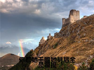 完结篇小说你惹她干嘛她身后全是疯批小说(云苓迟盛)已更新+无删减（你惹她干嘛她身后全是疯批）无广告