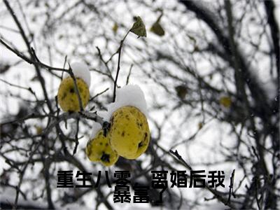 (番外)+(全文)姜阳沈言川(重生八零，离婚后我暴富了：全文+结局+番外)全文免费阅读无弹窗大结局_(姜阳沈言川)最新章节列表_笔趣阁(重生八零，离婚后我暴富了：全文+结局+番外)