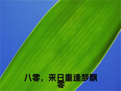 八零，来日重逢梦飘零 小说小说全集+延伸+完本（沈秀芝顾长海）畅享在线阅读