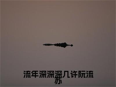 流年深深深几许阮流苏完结篇（周容川阮流苏）全篇免费版在线+无障碍结局