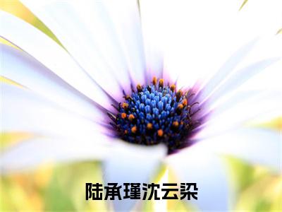 陆承瑾沈云染小说叫什么(陆承瑾沈云染)小说全集阅读无广告（陆承瑾沈云染）番外+续集