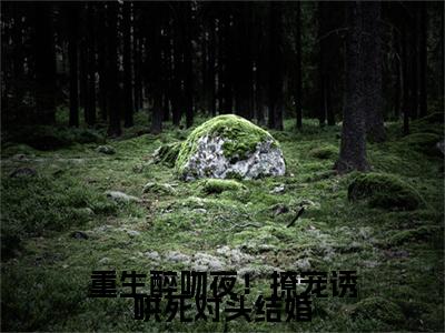 林青柚殷寒煜免费阅读下载全章节_（重生醉吻夜！撩宠诱哄死对头结婚结局+番外）完结版全文小说林青柚殷寒煜在线阅读