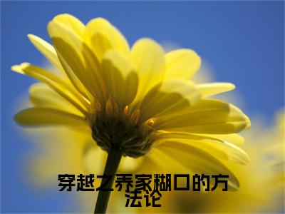 （书荒必看）徐晓媛(穿越之养家糊口的方法论)无删减在线下载阅读最终终章