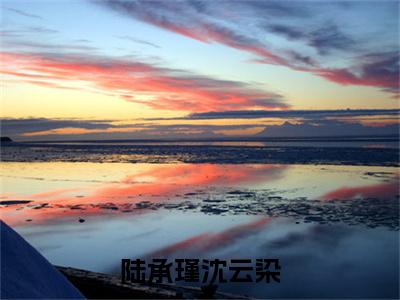 陆承瑾沈云染小说番外+结局（陆承瑾沈云染）小说在线阅读