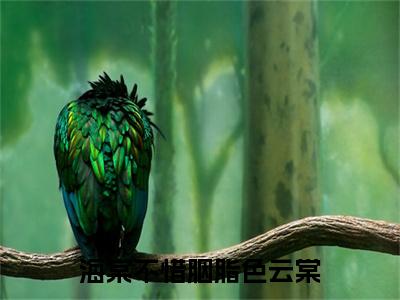 夜蘅云棠：结局+番外新上热文（海棠不惜胭脂色云棠）最近章节列表