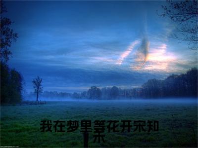 陆子轩宋知禾小说完本+外篇（我在梦里等花开宋知禾）畅享阅读