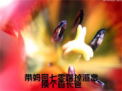 带妈回七零踹掉渣爹换个首长爸小说叫什么(沈窈秦琛)小说全集阅读无广告（带妈回七零踹掉渣爹换个首长爸）番外+续集