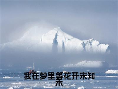 我在梦里等花开宋知禾：全文+后续小说（陆子轩宋知禾）免费热文在线阅读无弹窗_我在梦里等花开宋知禾：全文+后续最新章节阅读全文（陆子轩宋知禾）