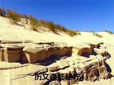 完结篇小说历文谦陆佳柠小说(陆佳柠历文谦)已更新+无删减（历文谦陆佳柠）无广告