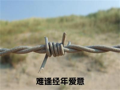 （迟意江阔）迟意江阔小说(难逢经年爱意)整书在线无广告高口碑小说