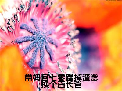沈窈秦琛小说无删减阅读无干扰（带妈回七零踹掉渣爹换个首长爸）番外+续集