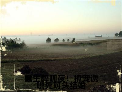 重生醉吻夜！撩宠诱哄死对头结婚小说无删减+后续（林青柚殷寒煜）畅享阅读