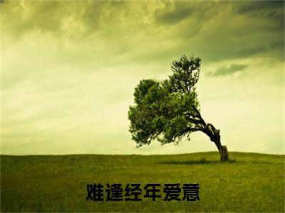 独家难逢经年爱意：结局+番外精编之作（迟意江阔）电子书畅享阅读