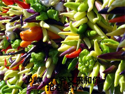 傅雪现步枭少帅，六爷又来和你抢老婆了小说完本+番外（少帅，六爷又来和你抢老婆了）畅享阅读