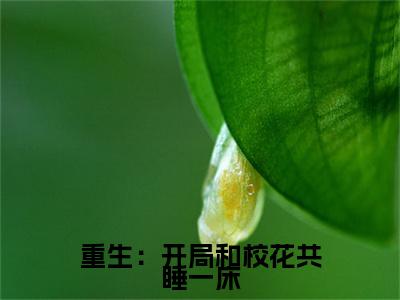 （陆一鸣）重生：开局和校花共睡一床延伸在线下载无广告章节清单
