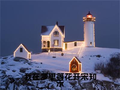 新章速递陆子轩宋知禾小说小说结尾阅读无广告（我在梦里等花开宋知禾）