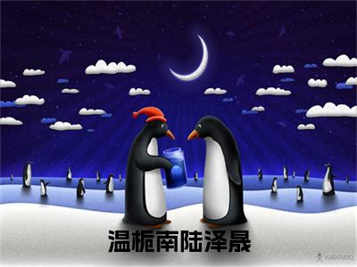 (番外)+(结局)温栀南陆泽晟：结局+番外（温栀南陆泽晟）全文免费阅读无弹窗大结局_(温栀南陆泽晟：结局+番外)最新章节列表_笔趣阁（温栀南陆泽晟）