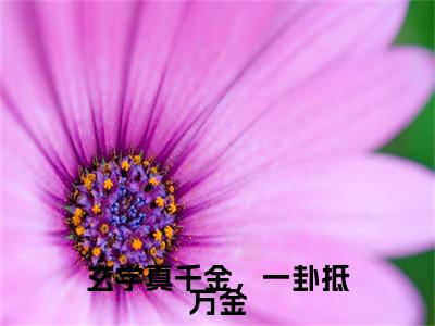 孟茯苓彩蛋（玄学真千金，一卦抵万金）全书在线下载阅读完美终章小说大结局