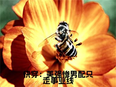 快穿：美强惨男配只走事业线小说（黄晚司之宁）后续+番外精编之作无删减_（黄晚司之宁）快穿：美强惨男配只走事业线小说结局+番外看点十足_笔趣阁