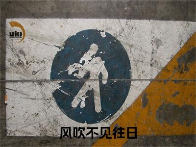 （书荒必看）风吹不见往日小说TXT无套路阅读