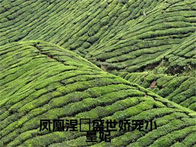 凤凰涅槃盛世娇宠小皇妃小说无删减阅读无干扰（叶婉）番外+续集