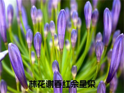 林花谢春红佘星染佘星染完结篇全篇阅读无广告（佘星染）番外+续集