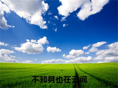 宋筱棠林宴辞附加不知身也在云间：结局+番外免费品鉴（宋筱棠林宴辞）全本浏览阅读连载中