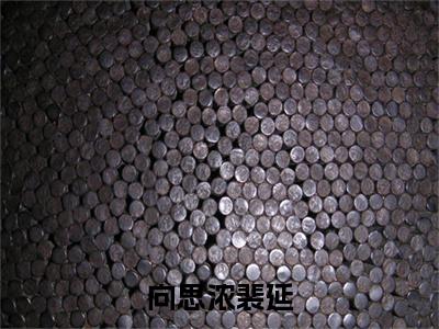 向思浓裴延（向思浓裴延）小说全文免费阅读无弹窗_（向思浓裴延全文阅读）向思浓裴延免费阅读大结局