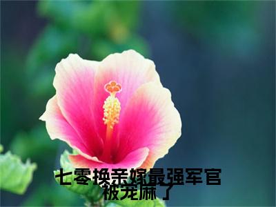 独家高文玥陆向野：结局+番外精编之作（七零换亲嫁最强军官被宠麻了）电子书畅享阅读