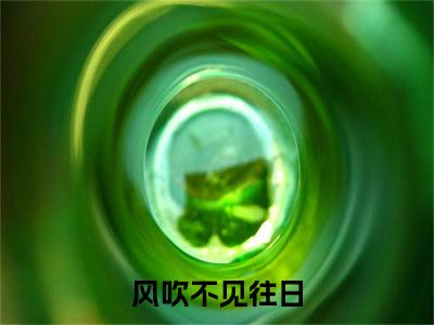 徐见山谢曦完结篇(风吹不见往日)章节：结局+番外评价五颗星