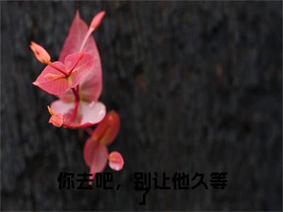 （头条）你去吧，别让他久等了(谢晚情沈奕舟)整本免费版阅读无广告（你去吧，别让他久等了）