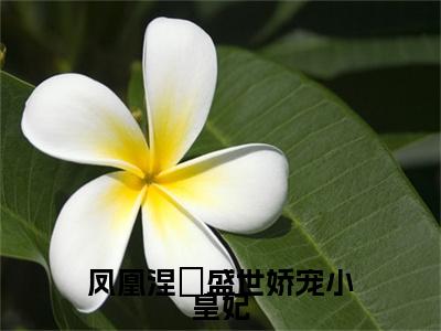 凤凰涅槃盛世娇宠小皇妃（叶婉）全文免费阅读无弹窗_凤凰涅槃盛世娇宠小皇妃完整版最新阅读_笔趣阁（叶婉）
