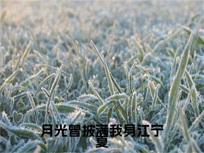 （寻寒彦江宁夏）寻寒彦江宁夏小说(月光曾披满我身江宁夏)整书在线无广告高口碑小说