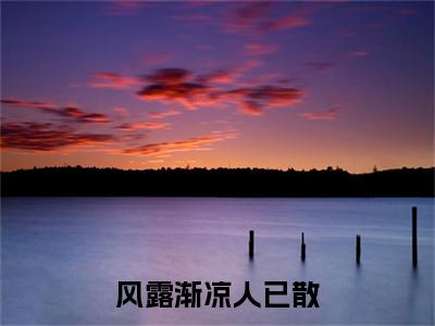 宋婉宁傅时序小说(风露渐凉人已散)（宋婉宁傅时序）在线畅读阅读连载中