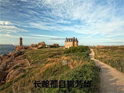 沈静姝萧祈年小说(长枪孤自赏芳华)章节目录+起点章节（沈静姝萧祈年）全篇清爽版在线