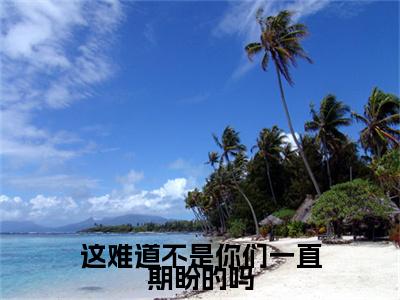 苏锦奕严以萱小说(这难道不是你们一直期盼的吗)全本完整阅读最新章节（苏锦奕严以萱）_笔趣阁