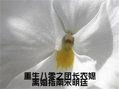 前传彭招娣宋明廷续集:全文+番外重生八零之团长农媳离婚指南宋明廷：结局+番外新上热文