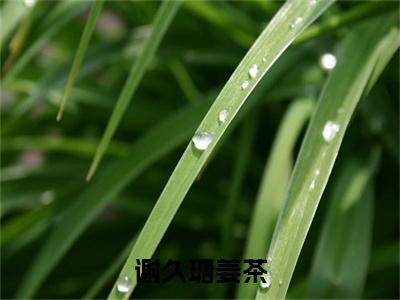 （姜茶谢久瑭）谢久瑭姜茶后续一口气无广告全书章节表