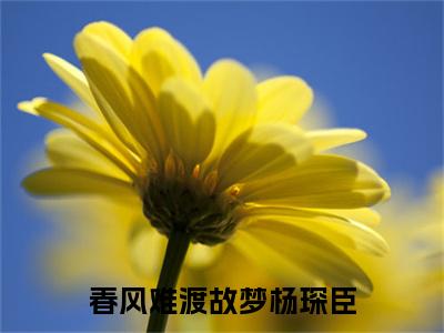 （黎烟暖杨琛臣）黎烟暖杨琛臣小说(春风难渡故梦杨琛臣)无套路无弹窗全部章节列表