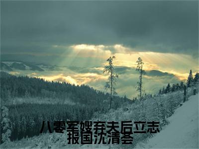 谢修泽沈清荟小说（八零军嫂弃夫后立志报国沈清荟）前传+全书阅读新作预览